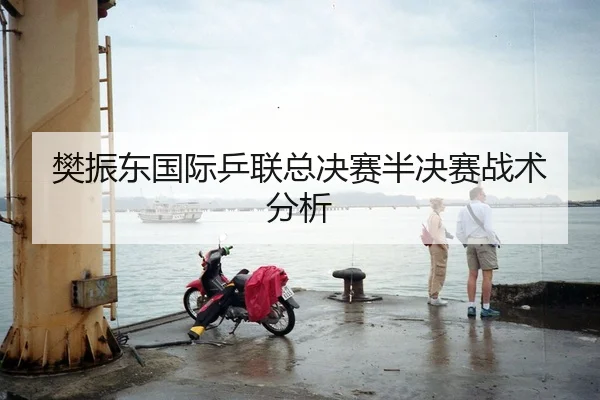 樊振东国际乒联总决赛半决赛战术分析
